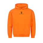 Image for color: orange